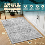 Istana 3x5 Area Rug - Light Grey Modern Rugs for Living Room 3x5 - Foldable Rugs for Bedroom/Living Room Rug - Stain Resistant Washable Rug - Eco-Friendly Small Area Rugs