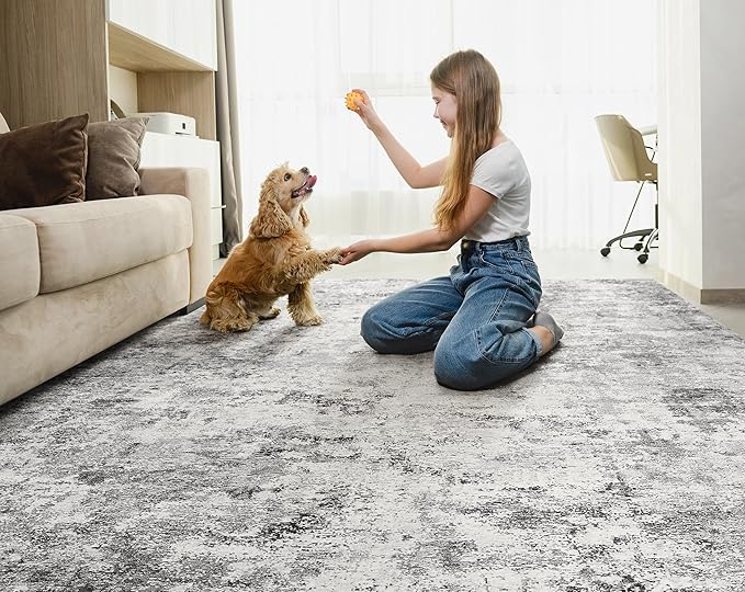 6x9 Area Rug Living Room Rugs - Washable Neutral Modern Abstract Soft Thin Rug Indoor Floor No Slip Rug Carpet for Bedroom Under Dining Table Home Office Decor - Grey
