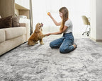 6x9 Area Rug Living Room Rugs - Washable Neutral Modern Abstract Soft Thin Rug Indoor Floor No Slip Rug Carpet for Bedroom Under Dining Table Home Office Decor - Grey