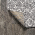 JONATHAN Y Boho Vintage Diamond Gray/Ivory Indoor Area Rug 10X14 ft, Moroccan Hype for Living Room, Bedroom, Kitchen, Office, Easy-Cleaning, High Traffic, Pet-Friendly, Non-Shedding (MOH101C-14)