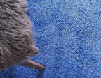 Unique Loom Solid Shag Collection Area Rug (2' 2" x 6' 7" Runner, Periwinkle Blue)