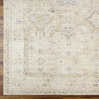 Hauteloom Nakia Bohemian Vintage Medallion Area Rug - Damask Floral Fade Look Carpet for Living Room, Bedroom - Farmhouse - Ivory, Cream, Medium Brown - 3'11" x 5'7"