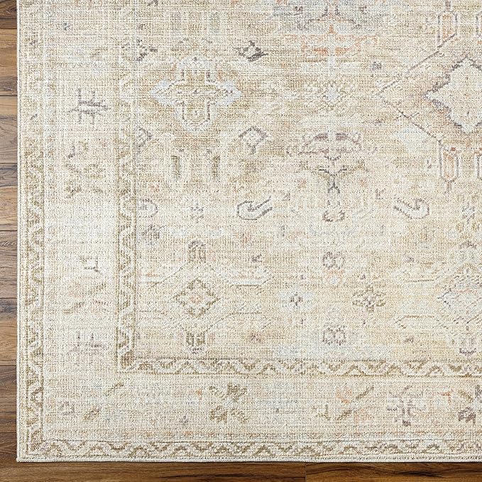Hauteloom Nakia Bohemian Vintage Medallion Area Rug - Damask Floral Fade Look Carpet for Living Room - Farmhouse - Ivory, Cream, Medium Brown - 9'2" x 12' (9x12 Area Rug)