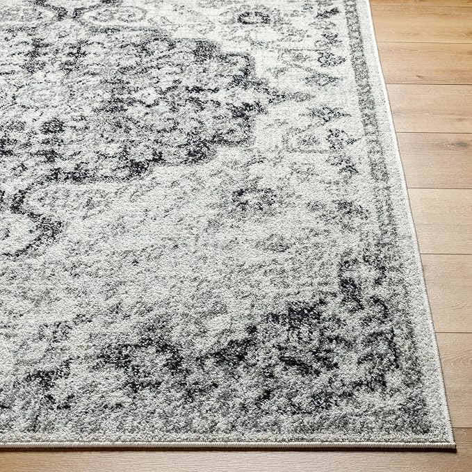 Livabliss Odelia Vintage Bohemian Area Rug,2' x 3',Black
