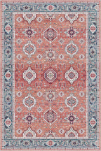 Dripex Vintage 5x7 Area Rugs - Large Washable Area Rug for Living Room Bedroom Oriental Medallion Floral Print Floor Carpet Low-Pile Indoor Soft Non-Slip Accent Rug Farmhouse Home Office Decor