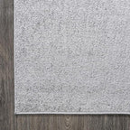 JONATHAN Y Haze Solid Low-Pile Light Gray Indoor Area Rug 3x5, Coastal,Bohemian,Minimalist,Classic, Easy-Cleaning for Living Room,Bedroom,Kitchen,Pet Friendly,Non-Shedding (SEU100K-3)