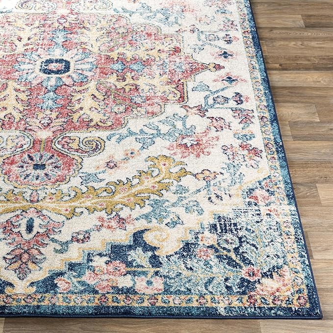 Livabliss Area Rugs - 9x12 Odelia Vintage Boho Aqua Burgandy Blue Area Rug for Living Room Bedroom - Floral Medallion Stain Resistant Carpet for Kitchen, Nursery, Office (8'10" x 12')