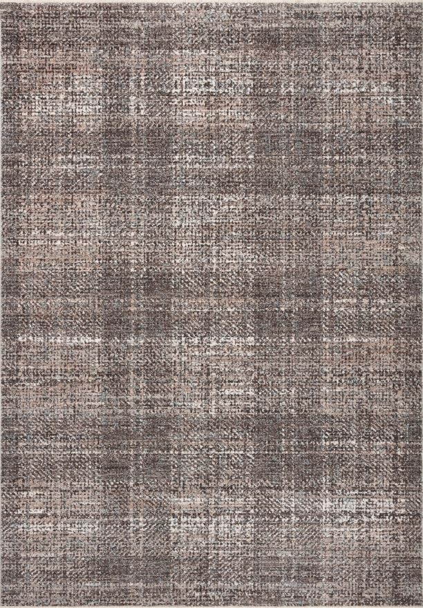 Loloi Angela Rose Ember Collection EMB-05 Graphite/Multi 2'-3" x 3'-10" Accent Rug