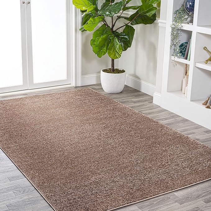 Eyely UES100J-14 Supersoft Haze Solid Low-Pile Indoor Area Rug, Coastal, Bohemian, Minimalist, Classic, Casual for Bedroom,Kitchen,Living Room,Non Shedding,Easy-Washing, Brown, 10 X 14