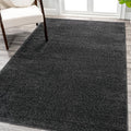 Eyely UES100I-14 Supersoft Haze Solid Low-Pile Indoor Area Rug, Coastal, Bohemian, Minimalist, Classic, Casual for Bedroom,Kitchen,Living Room,Non Shedding,Easy-Washing, Black, 10 X 14