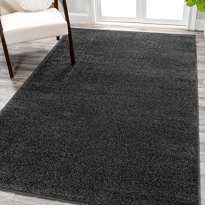 Eyely UES100I-15 Supersoft Haze Solid Low-Pile Indoor Area Rug, Coastal, Bohemian, Minimalist, Classic, Casual for Bedroom,Kitchen,Living Room,Non Shedding,Easy-Washing, Black, 12 X 15