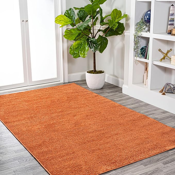 Eyely UES100M-9 Supersoft Haze Solid Low-Pile Indoor Area Rug, Coastal, Bohemian, Minimalist, Classic, Casual for Bedroom,Kitchen,Living Room,Non Shedding,Easy-Washing, Orange, 9 X 12