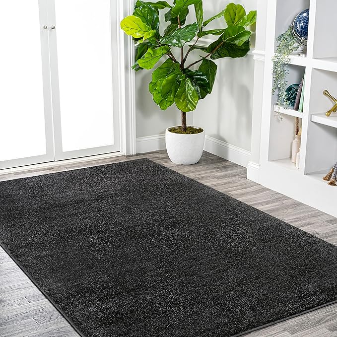JONATHAN Y Haze Solid Low-Pile Black Indoor Area Rug 6x9, Coastal,Bohemian,Minimalist,Classic, Easy-Cleaning for Living Room,Bedroom,Kitchen,Pet Friendly,Non-Shedding (SEU100I-6)