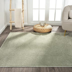 Eyely UES100O-5 Supersoft Haze Solid Low-Pile Indoor Area Rug Casual;Contemporary;Solid;Traditional, Bedroom, Kitchen, Living Room, Easy-Cleaning, Non-Shedding, 5 X 8, Green