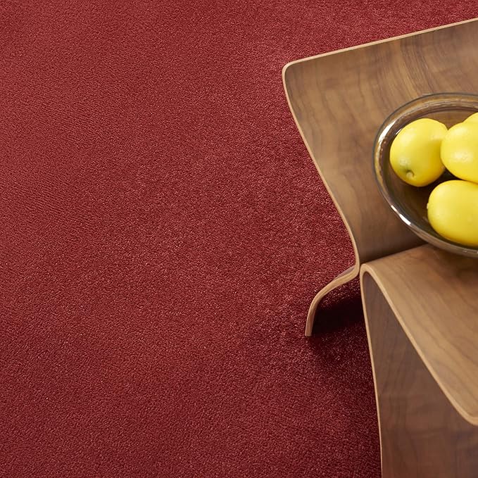Nourison Home Nourison Essentials Brick Red 4' x 6' Area Rug - Easy Clean, Non Shedding, Bed Room, Living Room, Dining Room, Kitchen (4' x 6')