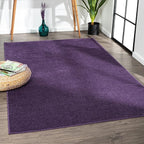 Eyely UES100N-3 Supersoft Haze Solid Low-Pile Indoor Area Rug Casual;Contemporary;Solid;Traditional, Bedroom, Kitchen, Living Room, Easy-Cleaning, Non-Shedding, 3 X 5, Purple