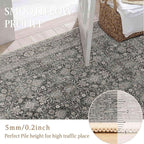 Vintage Area Rug 3x5 Black Entryway Office Washable Carpet Non Slip Bedroom Indoor Living Room Door Mat Low Pile Traditional Distressed Retro Accent Rug for Dining Room Bathroom Kitchen